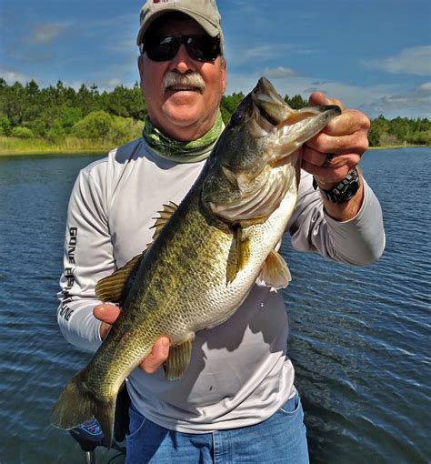largemouth bass fishing|How to Go Largemouth Bass Fishing: The Complete Guide for 2024.